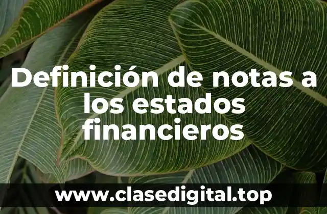 Definición técnica de notas a los estados financieros
