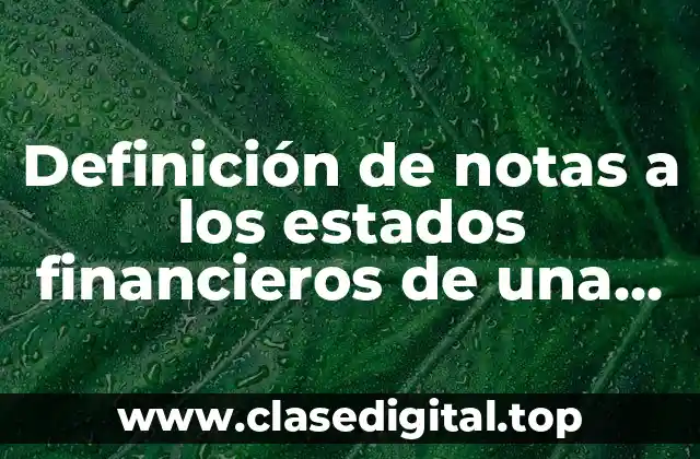 Definición de notas a los estados financieros de una empresa en Ecuador