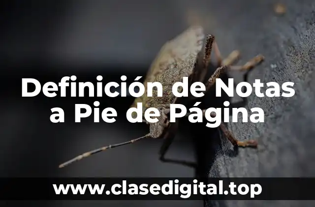Ejemplos de Notas a Pie de Página