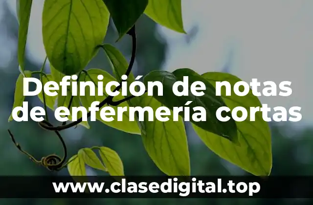 Ejemplos de notas de enfermería cortas