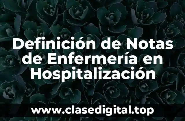 Definición de Notas de Enfermería en Hospitalización