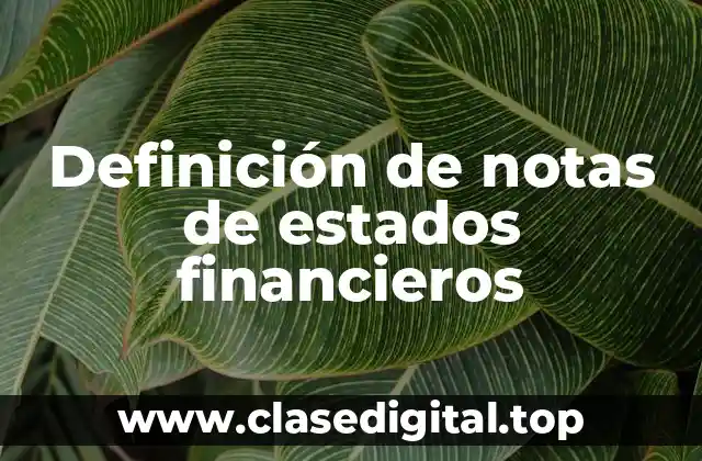 Definición de notas de estados financieros