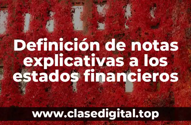 Definición de notas explicativas a los estados financieros