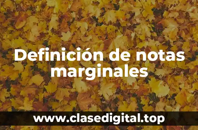 Ejemplos de notas marginales