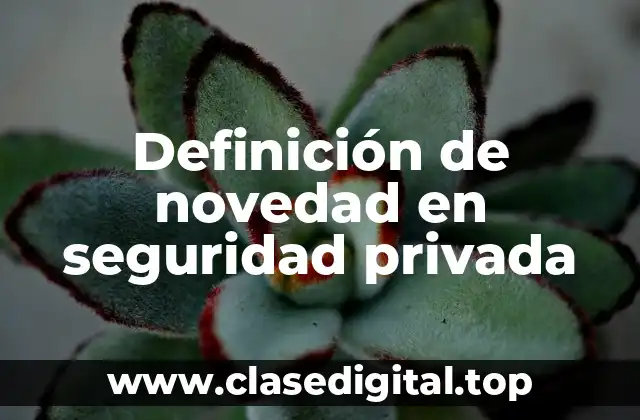 Definición de novedad en seguridad privada