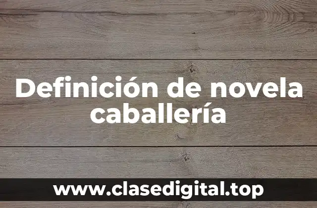 Definición de novela caballería