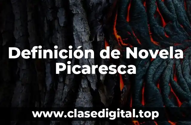 Definición de Novela Picaresca