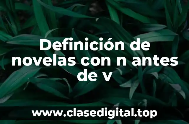 Definición de novelas con n antes de v