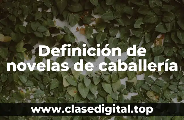 Definición de novelas de caballería