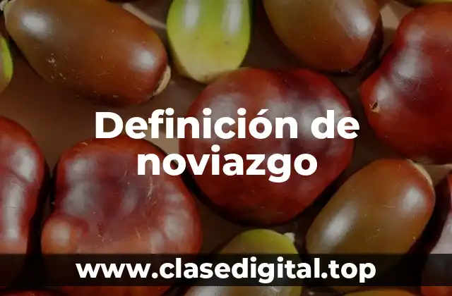 Definición técnica de noviazgo