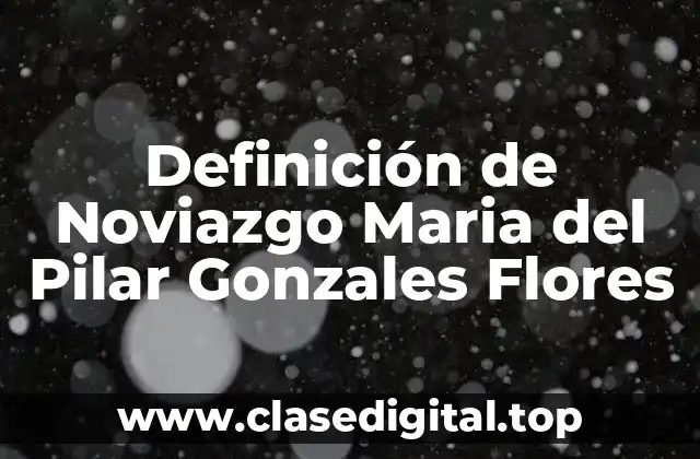 Definición de Noviazgo Maria del Pilar Gonzales Flores
