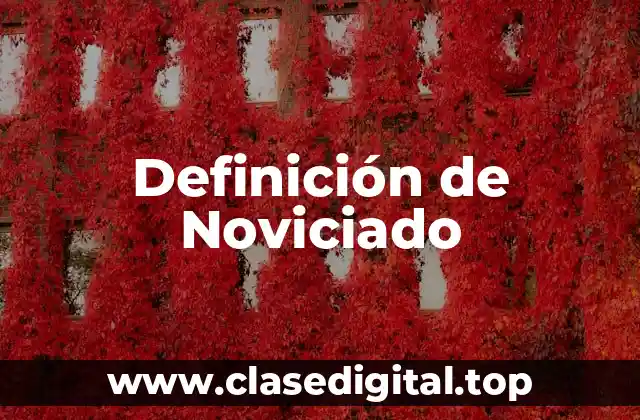 Definición de Noviciado