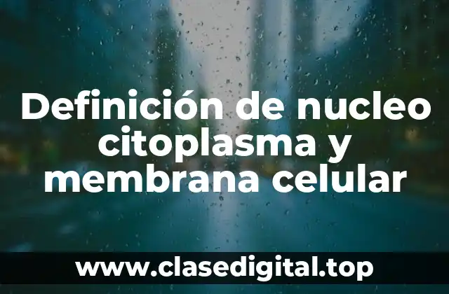 Definición de nucleo citoplasma y membrana celular