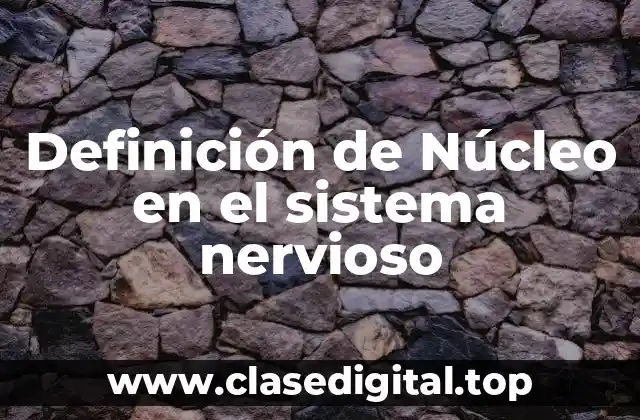 Definición de Núcleo en el sistema nervioso