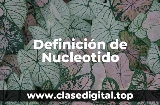 Definición de Nucleotido