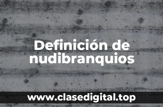 Definición de nudibranquios