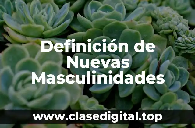 Definición de Nuevas Masculinidades
