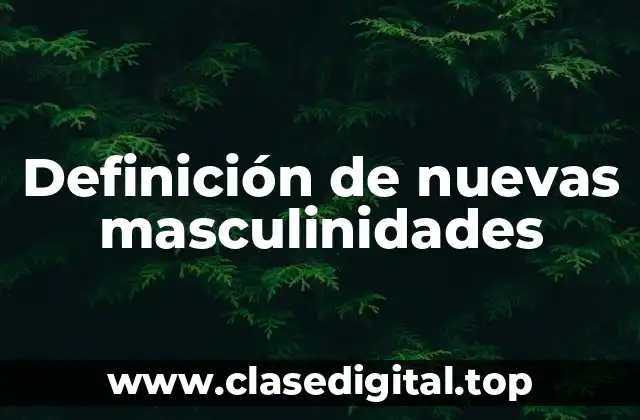 Definición de nuevas masculinidades