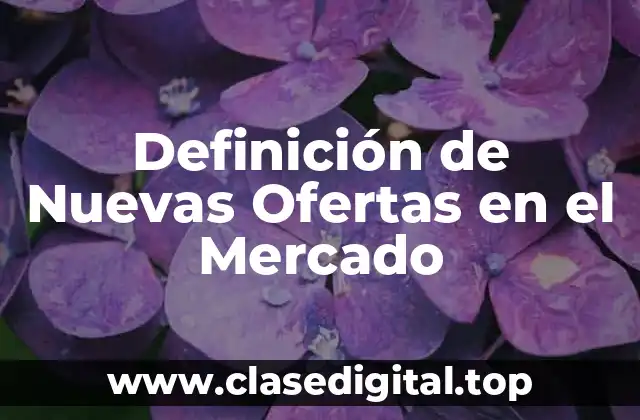 Definición de Nuevas Ofertas en el Mercado