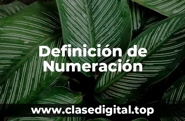 Definición de Numeración