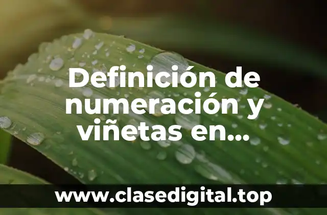 Definición de numeración y viñetas en informática