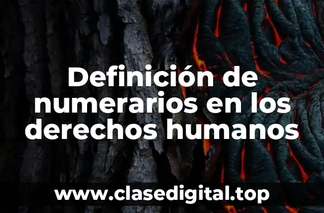 Definición técnica de numerarios en los derechos humanos