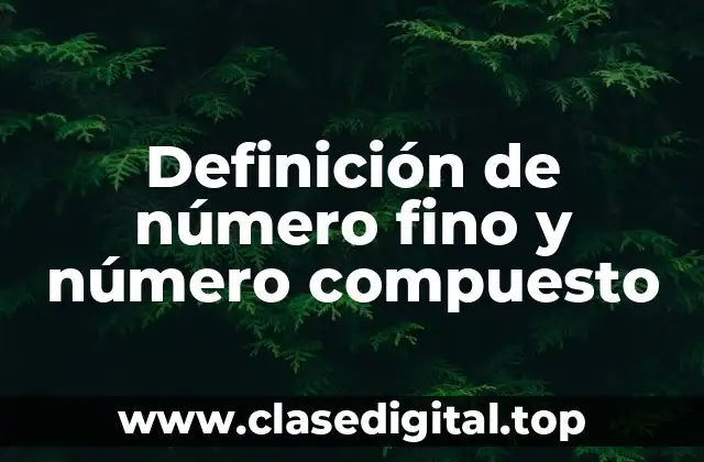 Definición de número fino y número compuesto
