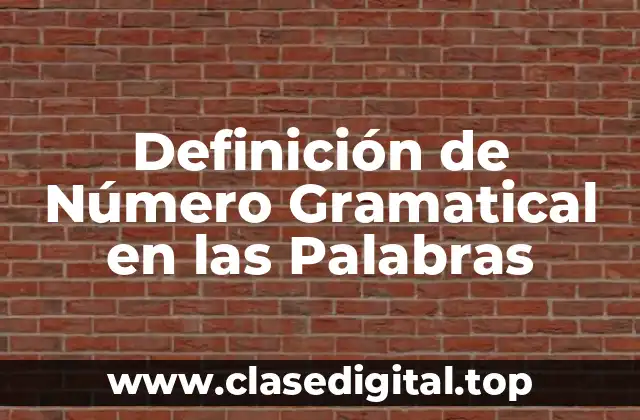 Definición de Número Gramatical en las Palabras