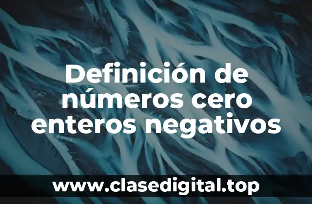 Definición técnica de número cero entero negativo