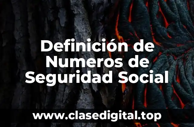 Definición de Numeros de Seguridad Social