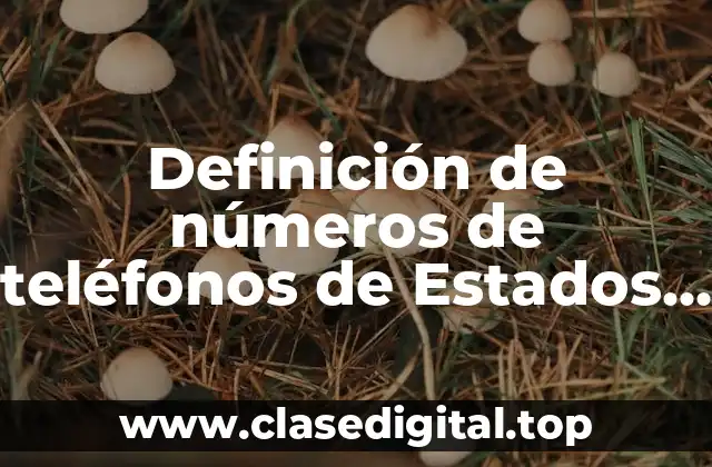 Definición de números de teléfonos de Estados Unidos