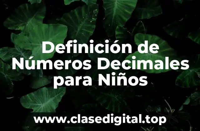 Definición técnica de Números Decimales