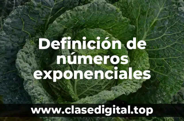 Ejemplos de números exponenciales