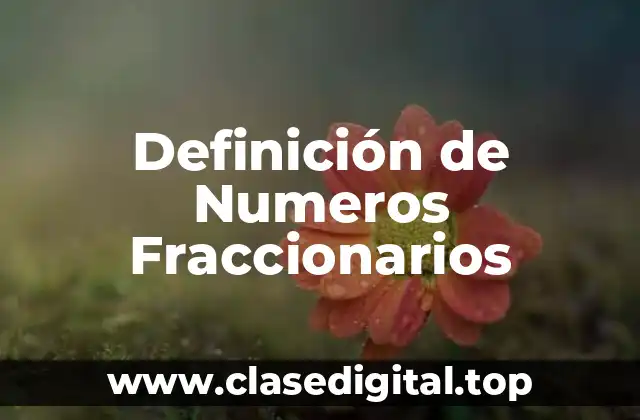 Definición técnica de número fraccionario