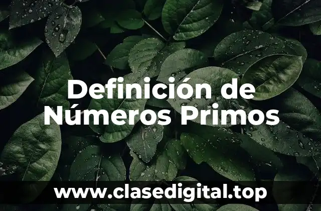 Definición de Números Primos