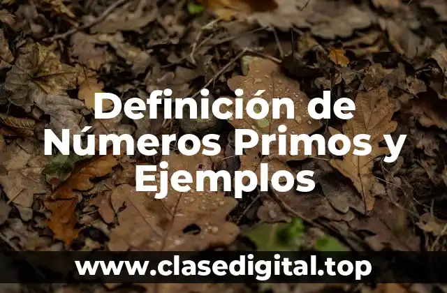 Definición de Números Primos y Ejemplos