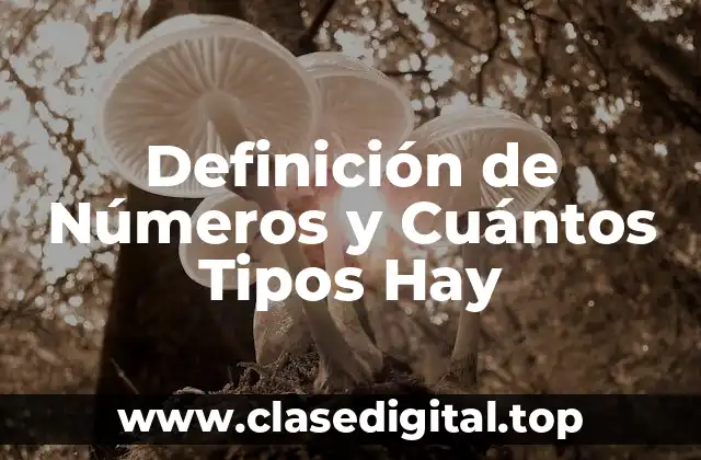 Definición de Números y Cuántos Tipos Hay