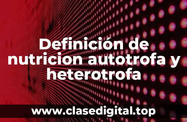 Ejemplos de nutricion autotrofa