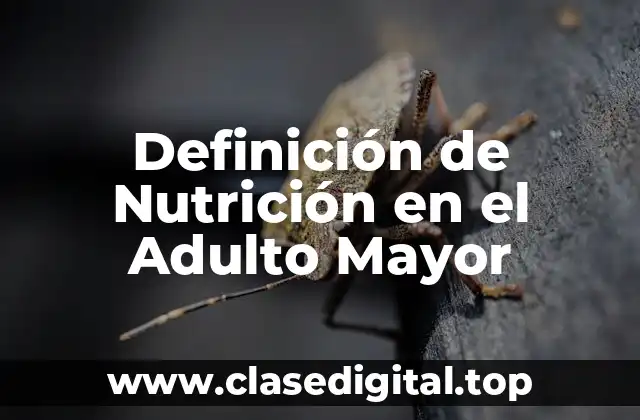 Definición de Nutrición en el Adulto Mayor