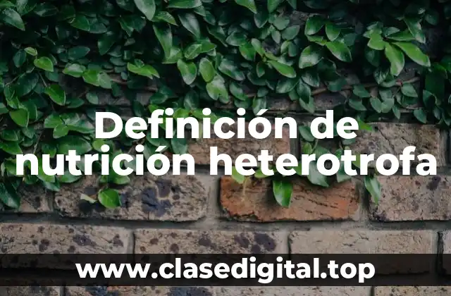 Ejemplos de nutrición heterotrofa