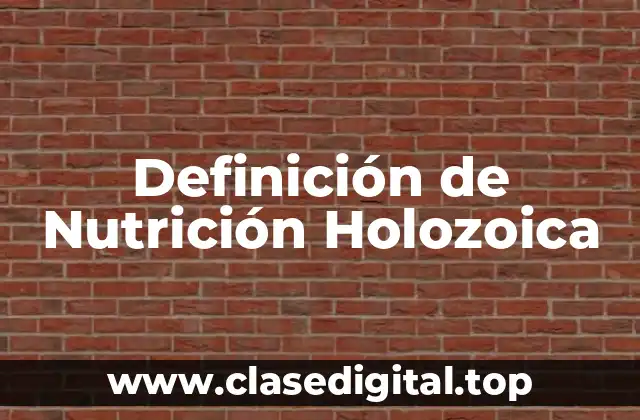 Definición de Nutrición Holozoica
