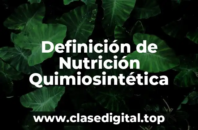 Ejemplos de Nutrición Quimiosintética