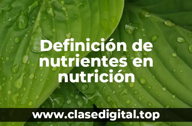 Definición de nutrientes en nutrición