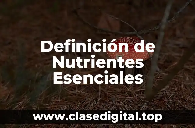 Ejemplos de Nutrientes Esenciales