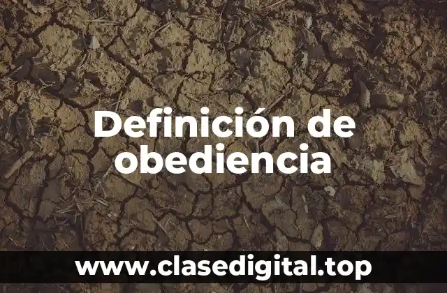 Definición de obediencia
