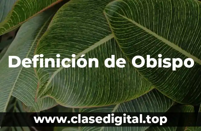 Definición de Obispo