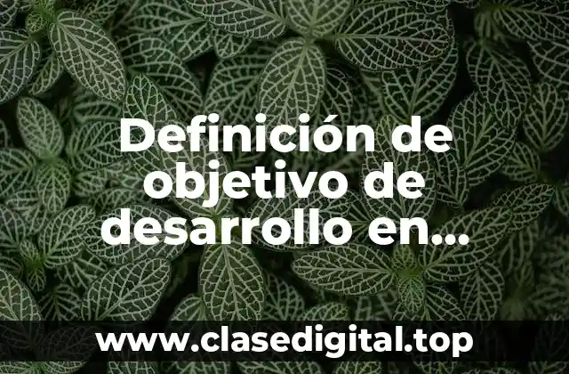 Definición de objetivo de desarrollo en empresa