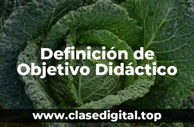 Definición de Objetivo Didáctico