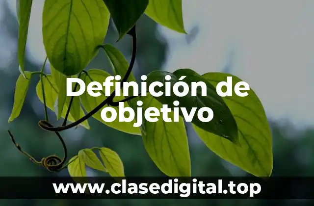 Ejemplos de objetivo