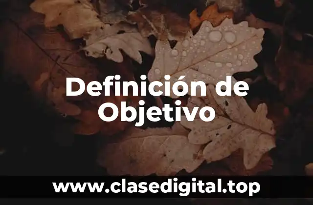 Definición técnica de Objetivo